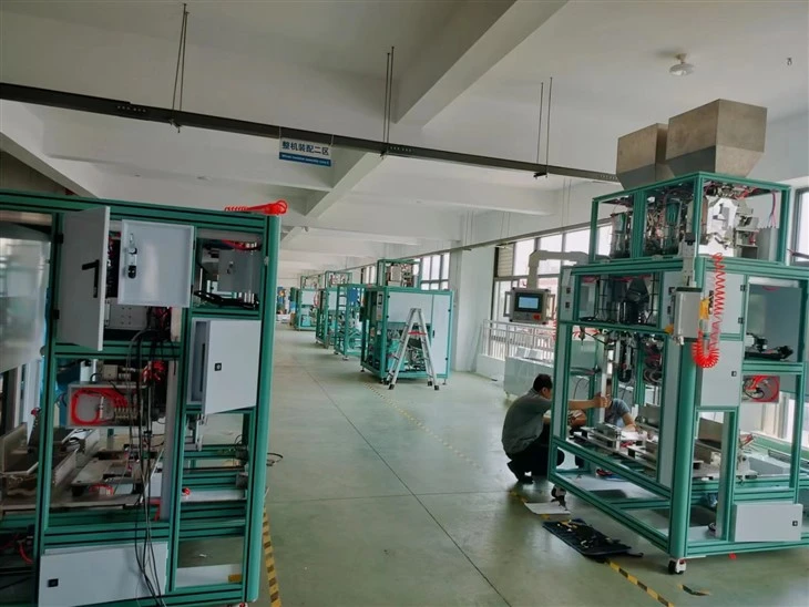 10kgs Rice Vacuum Packing Machine For Pillow Shape