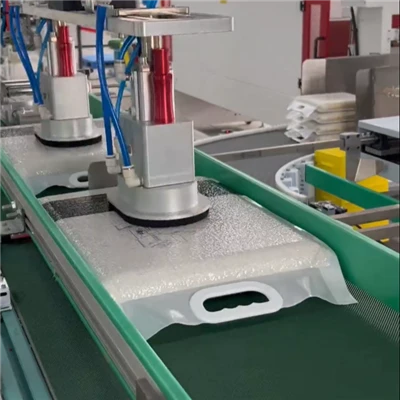 Automatic Carton Packing Machine